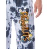Peanuts Men's Charlie Brown Snoopy Friends Sleep Lounge Pajama Pants Multicolored - 3 of 4