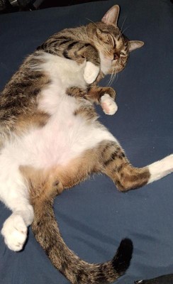 Guest review image 1 of 1, zoom in