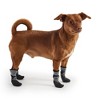 GF PET Waterproof All Terrain Dog Boots - 2 of 4