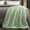 Cozy Bliss Faux Fur Plush Decorative Blanket, Cozy Warm Striped Throw - 3 of 4