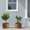 Wooakway Outdoor/Indoor/Decor/Garden Large Tall Metal Planter Pots Planter Boxes Cachepots Nursery Pots - 2 of 4