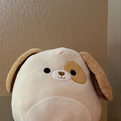 squishmallow harrison target