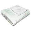 Disney Winnie the Pooh Holiday Gathering Silk Touch Throw Blanket 50x60 Inches - 3 of 4