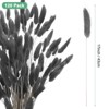 Unique Bargains Artificial Dried Flowers Realistic Look Pampas Bunny Tails Grass 17 Inch - 3 of 4