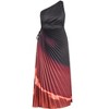 Women's Plus Size Aliza Print Pleat Maxi Dress - sienna | CITY CHIC - 4 of 4