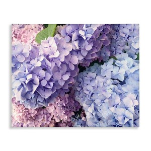 Stupell Industries Pastel Hydrangea Flower Petals, 40" x 30" - 1 of 4