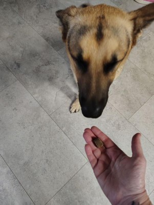 Guest review image 2 of 2, zoom in