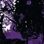 clear push pins bundle