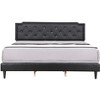 Passion Furniture Deb Tufted King Panel Bed - 2 of 4