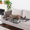 FurHaven Waterproof Velvet Pet Throw Blanket for Dogs & Cats - 3 of 3