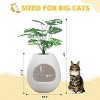 LunaLulinlk white cat litter box set with artificial plants, additional scoop, and replaceable litter box liner - 2 of 4