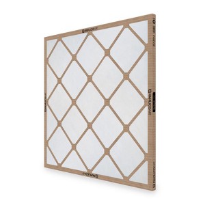 Pamlico Air 10 in. W X 25 in. H X 1 in. D Fiberglass 4 MERV Air Filter (Pack of 12) - 1 of 1