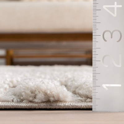 Beige Geometric Shag Tassel 4' x 6' Area Rug