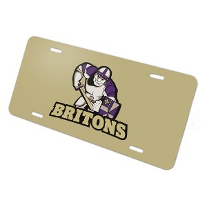 Albion College Secondary Logo Novelty Metal Vanity Tag License Plate - 1 of 4