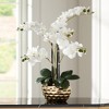 Dahlia Studios Potted Faux Artificial Flowers Realistic White Phalaenopsis Orchid in Gold Ceramic Pot Home Decoration 23" High - 2 of 4