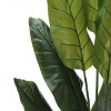 GlasFlength Artificial Plants Artificial Rubber Tree Artificial Strelitzia Tree Faux Plants for Indoor Home Decor, Green, 27.5"*25.5"*59" - 3 of 4