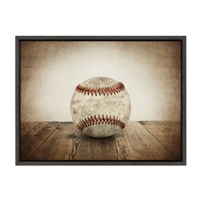 18" x 24" Sylvie Vintage Baseball Framed Canvas by Shawn St. Peter Gray - DesignOvation