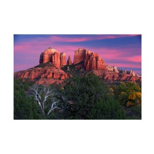 Trademark Fine Art - Cora Niele Stylisch Rose Pink Matted Framed Art - 1 of 4