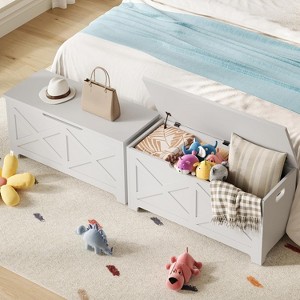 COZONY Wooden Storage Chest Bench, Modern Lift-Top Toy Box with Safety Hinge, Multi-Purpose Organizer for Entryway Bedroom Living Room - 1 of 4