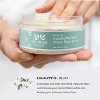 Nourish Beaute Organic Sugar Body Scrub for Exfoliation and Cellulite, Hydrates and Moisturizes Skin while Improving Skin Tone and Texture, 8 oz - 2 of 3