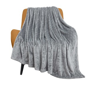 Aoibox Super Soft Cozy Fleece Throw Blanket, Lightweight Fuzzy Comfy Textured Flannel Warm Plush Blanket for Couch, Sofa, Bed, Home Decor, Light Grey - 1 of 4