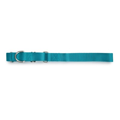 Guardian Gear Nylon Martingale Dog Collar, Fits Necks 14" to 20", Bluebird