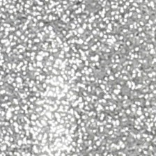 silver grey glitter