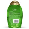 OGX Extra Strength Refreshing Scalp + Tea Tree Mint Shampoo with Peppermint Oil - 13 fl oz - image 2 of 3