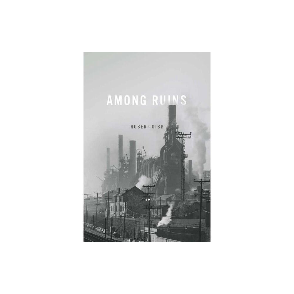 ISBN 9780268102098 product image for Among Ruins - (Ernest Sandeen Prize for Poetry) by Robert Gibb (Hardcover) | upcitemdb.com