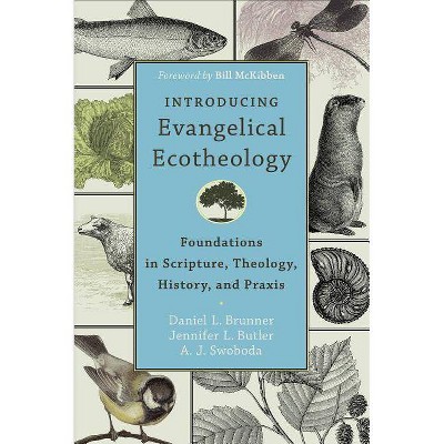 Introducing Evangelical Ecotheology - by  Daniel L Brunner & Jennifer L Butler & A J Swoboda (Paperback)