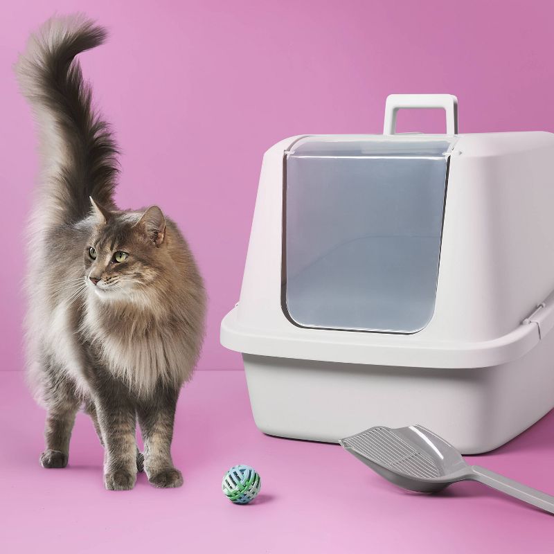 Enclosed Cat Litter Box - XL - up & up™, 3 of 5