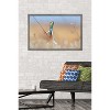 Trends International The Comedy Wildlife Photography Awards: Anup Deodhar - Rockstar Framed Wall Poster Prints - 2 of 4