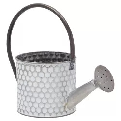 Okuna Outpost Galvanized Metal Watering Can Vase for Indoor Outdoor Plant, Succulents (4.5 x 8.5 in)