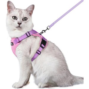 rabbitgoo Cat Harness and Leash for Walking, , Easy Control Breathable Reflective Strips Jacket, Pink & Purple, M - 1 of 1