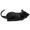 Halloween Express  12 in Halloween Bump and Go Rat - 2 of 3