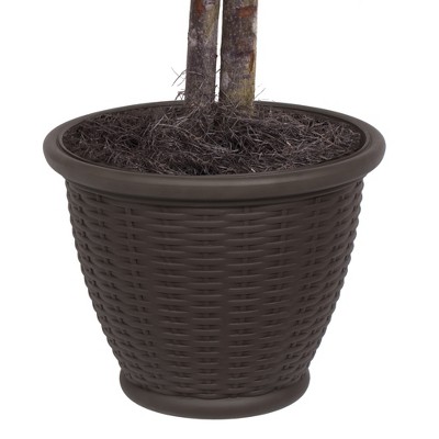 4' Green Silk Artificial Mango Bush in Round Brown Plastic Pot