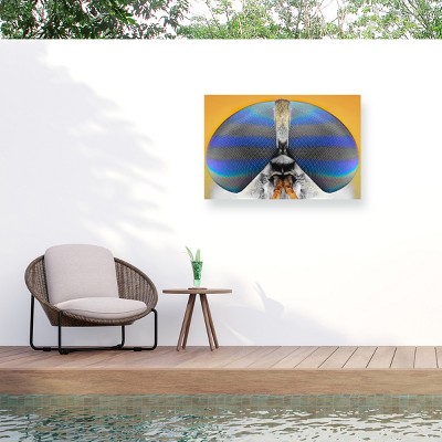Trademark Fine Art - Donald Jusa Fly On Yellow Matted Framed Art