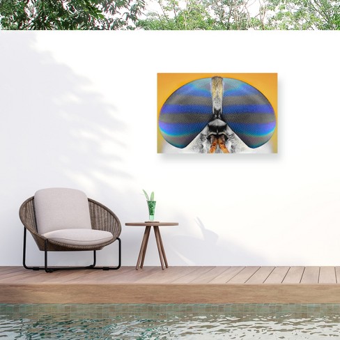 Trademark Fine Art - Donald Jusa Fly On Yellow Matted Framed Art - image 1 of 4