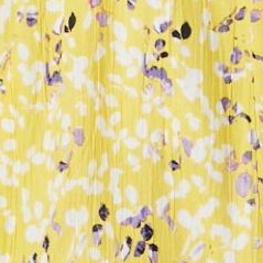 primrose yellow leaf