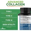 Forest Leaf Multi Collagen Pills with Hyaluronic Acid + Vitamin C | Hydrolyzed Collagen Supplements for Women or Men | Skin & Wrinkles - 2 of 4