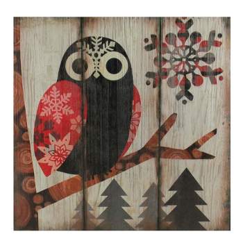 Raz Imports 13.75" Alpine Chic Wide - Eyed Owl in Woods with Snowflakes Wall Art Plaque