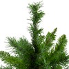 Northlight 2 FT Mixed Kateson Fir Medium Artificial Christmas Tree - Unlit - image 3 of 4