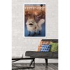Trends International Star Wars: Ahsoka - Loth-Cat Framed Wall Poster Prints - 2 of 4