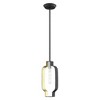Livex Lighting Meadowbrook 1 - Light Pendant in  Black/Brushed Nickel - 2 of 4