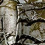 woods camo
