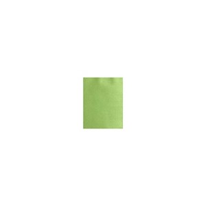 LUX 105 lb. Cardstock Paper 11" x 17" Fairway Metallic 50 Sheets/Ream (1117-C-M36-50) - 1 of 1