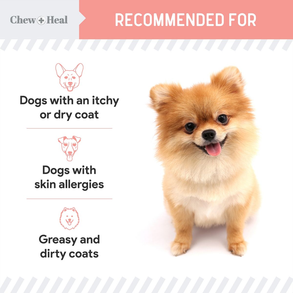 Chew + Heal Pure Wild Alaskan Omega Salmon Oil Formula Skin & Coat Liquid Supplement for Dogs - thumbnail 10