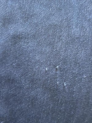 Guest review image 1 of 3, zoom in