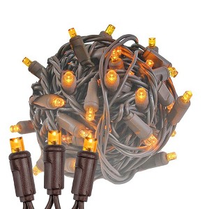 Novelty Lights 50 Light LED Christmas Mini Light Set (Brown Wire, 25 Feet) - 1 of 4