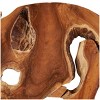 32"x32" Teak Wood Live Edge Wall Mirror Brown - Olivia & May: Nautical Coastal Decor, No Assembly Required - 4 of 4